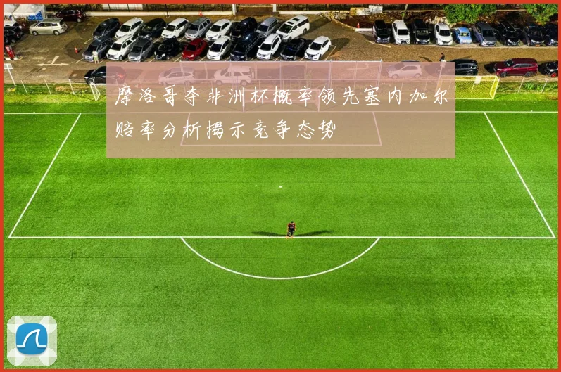 摩洛哥夺非洲杯概率领先塞内加尔赔率分析揭示竞争态势